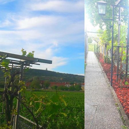 Pansion Brda Apartamento Rohrendorf bei Krems Exterior foto